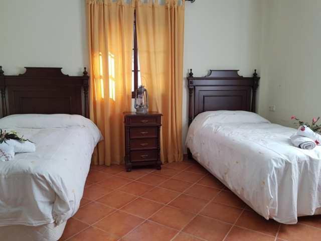 Vivienda Rural Casa Sofia Villa Ubrique Kültér fotó
